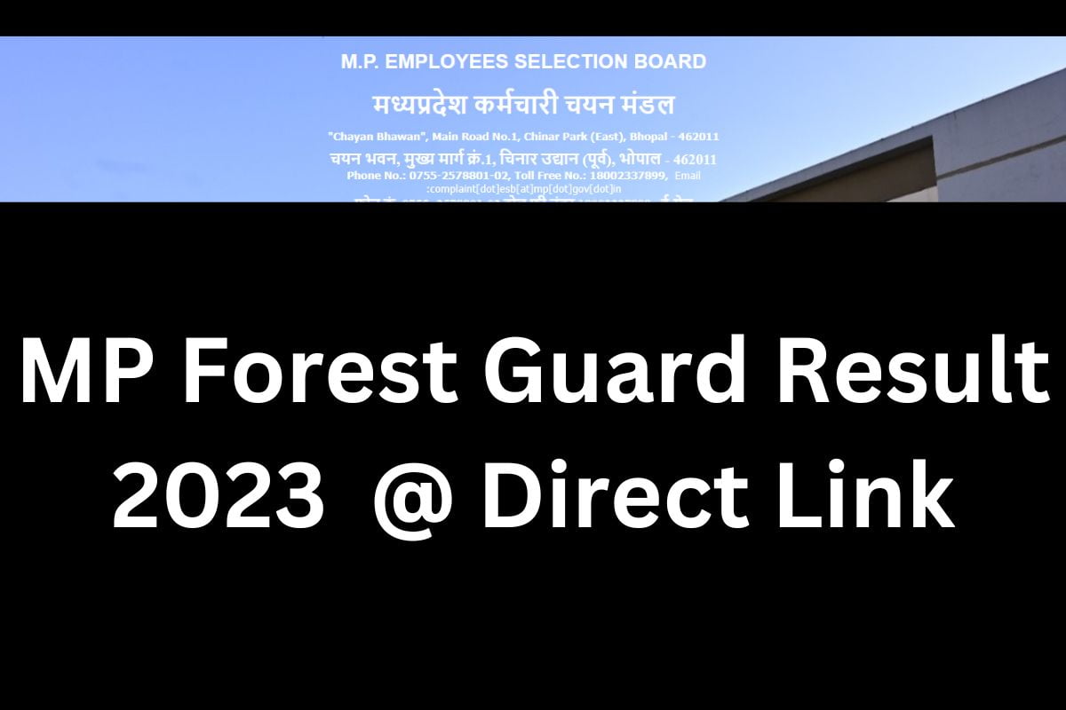 MP Forest Guard Result 2023 @ Direct Link